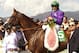 In a photo provided by Benoit Photo, California Chrome and jockey Victor Espinoza pose in the winner's circle after victory in the Santa Anita Derby horse race Saturday, April 5, 2014, at Santa Anita in Arcadia, Calif. (AP Photo/Benoit Photo)