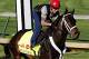 Kentucky Derby hopeful Ride On Curlin gallops under exercise rider Bryan Beccia at Churchill Downs in Louisville, Ky., Saturday, April 26, 2014. (AP Photo/Garry Jones)