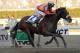 In this photo provided by the New York Racing Association, Wicked Strong, with Rajiv Maragh aboard, captures The Wood Memorial Stakes horse race at Aqueduct Race Track in New York, Saturday, April 5, 2014. (AP Photo/New York Racing Association, David Alcosser)