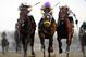 In this photo provided by the New York Racing Association, Samraat, left, with Jose L. Ortiz aboard, captures the Gotham Stakes horse race at Aqueduct Racetrack in New York, Saturday, March 1, 2014. (AP Photo/New York Racing Association, Adam Coglianese)