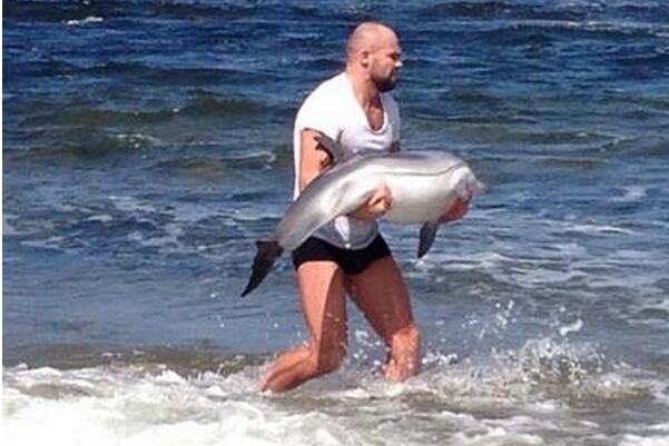 TUF 19's Cathal Pendred Rescues a Baby Dolphin on His Day off