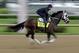Exercise rider Joel Barrientos takes Kentucky Derby hopeful General a Rod for a morning workout at Churchill Downs Tuesday, April 29, 2014, in Louisville, Ky. (AP Photo/Morry Gash)