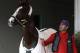 Exercise rider William Delgado holds Kentucky Derby hopeful California Chrome after a morning workout at Churchill Downs Tuesday, April 29, 2014, in Louisville, Ky. (AP Photo/Garry Jones)