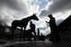 Horses get bathes after morning workouts at Churchill Downs Tuesday, April 29, 2014, in Louisville, Ky. (AP Photo/Charlie Riedel)