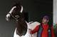Exercise rider William Delgado holds Kentucky Derby hopeful California Chrome after a morning workout at Churchill Downs Tuesday, April 29, 2014, in Louisville, Ky. (AP Photo/Garry Jones)