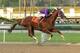 ADVANCE FOR WEEKEND EDITIONS, APRIL 26-27 - FILE - In this Jan. 25, 2014 file photo provided by Benoit Photo, California Chrome and jockey Victor Espinoza win the $250,000 California Cup Derby horse race at Santa Anita in Arcadia, Calif. A full field of 20 is expected for the 140th Kentucky Derby on May 3. California Chrome is the early favorite. (AP Photo/Benoit Photo, File)