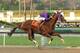 ADVANCE FOR WEEKEND EDITIONS, APRIL 26-27 - FILE - In this Jan. 25, 2014 file photo provided by Benoit Photo, California Chrome and jockey Victor Espinoza win the $250,000 California Cup Derby horse race at Santa Anita in Arcadia, Calif. A full field of 20 is expected for the 140th Kentucky Derby on May 3. California Chrome is the early favorite. (AP Photo/Benoit Photo, File)