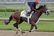 Exercise rider Kelvin Pahal takes Kentucky Derby hopeful Wicked Strong for a morning workout at Churchill Downs Wednesday, April 30, 2014, in Louisville, Ky. (AP Photo/Morry Gash)