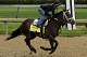 Kentucky Derby hopeful Vicar's In Trouble, ridden by exercise rider Joel Barrientos, gallops on the track at Churchill Downs in Louisville, Ky., Friday, April 25, 2014. (AP Photo/Garry Jones)