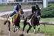 Kentucky Derby hopefuls Danza, left, ridden by Ezequiel Perez, and stablemate Vinceremos, ridden by exercise rider Ovel Merida, work in company for trainer Todd Pletcher at Churchill Downs in Louisville, Ky., Sunday, April 27, 2014. (AP Photo/Garry Jones)