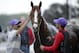 Apr 29, 2014; Louisville, KY, USA; Groom Raul Rodriguez washes Kentucky Derby hopeful California Chrome while exercise rider William Delgado holds the horse steady following a morning workout out at Churchill Downs. Mandatory Credit: Jamie Rhodes-USA TODAY Sports