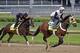 Exercise rider Benito Alvarado on Kentucky Derby hopeful Uncle Sigh and Exercise rider Emerson Chavez on Kentucky Derby hopeful Commanding Curve go for a morning workout at Churchill Downs Wednesday, April 30, 2014, in Louisville, Ky. (AP Photo/Morry Gash)