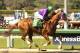 In a photo provided by Benoit Photo, California Chrome and jockey Victor Espinoza win the Santa Anita Derby horse race, Saturday, April 5, 2014, at Santa Anita in Arcadia, Calif. (AP Photo/Benoit Photo)