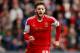 SOUTHAMPTON, ENGLAND - FEBRUARY 08: Adam Lallana of Southampton during the Barclays Premier League match between Southampton and Stoke City at St Mary's Stadium on February 8, 2014 in Southampton, England. (Photo by Scott Heavey/Getty Images)