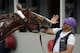 Exercise rider William Delgado plays with Kentucky Derby hopeful California Chrome after a morning workout at Churchill Downs Wednesday, April 30, 2014, in Louisville, Ky. (AP Photo/Garry Jones)