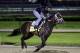 Exercise rider Joel Barrientos takes Kentucky Derby entrant Vicar's in Trouble for a morning workout at Churchill Downs Thursday, May 1, 2014, in Louisville, Ky. (AP Photo/Charlie Riedel)