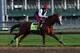 LOUISVILLE, KY - MAY 01: California Chrome runs on the track during the morning training for the Kentucky Derby at Churchill Downs on May 1, 2014 in Louisville, Kentucky. (Photo by Andy Lyons/Getty Images)
