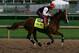 LOUISVILLE, KY - MAY 01: Kentucky Derby contender California Chrome works during early morning workouts at Churchill Downs on May 1, 2014 in Louisville, Kentucky. (Photo by Kevin C. Cox/Getty Images)