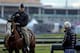 Trainers D. Wayne Lukas, left, and Bob Baffert talk during morning workouts at Churchill Downs Thursday, May 1, 2014, in Louisville, Ky. (AP Photo/Charlie Riedel)