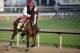 Exercise rider William Delgado takes Kentucky Derby entrant California Chrome for a morning workout at Churchill Downs Thursday, May 1, 2014, in Louisville, Ky. (AP Photo/Morry Gash)