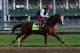LOUISVILLE, KY - MAY 01: California Chrome runs on the track during the morning training for the Kentucky Derby at Churchill Downs on May 1, 2014 in Louisville, Kentucky. (Photo by Andy Lyons/Getty Images)