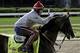 Exercise rider William Delgado takes Kentucky Derby entrant California Chrome for a morning workout at Churchill Downs Friday, May 2, 2014, in Louisville, Ky. (AP Photo/Garry Jones)