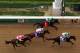 LOUISVILLE, KY - MAY 02: Tiz Windy #2 leads Handmade #1 and Flipcup #3 across the finish line to win the 3rd race ahead of the 140th Kentucky Oaks at Churchill Downs on May 2, 2014 in Louisville, Kentucky. (Photo by Jamie Squire/Getty Images)