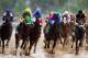 LOUISVILLE, KY - MAY 04: The field races down the front stretch during the 139th running of the Kentucky Derby at Churchill Downs on May 4, 2013 in Louisville, Kentucky. (Photo by Andy Lyons/Getty Images)