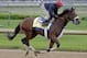 Exercise rider Kelvin Pahal takes Kentucky Derby hopeful Wicked Strong for a morning workout at Churchill Downs Wednesday, April 30, 2014, in Louisville, Ky. (AP Photo/Morry Gash)