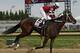 Rosie Napravnik rides Untapable to victory during the 140th running of the Kentucky Oaks horse race at Churchill Downs Friday, May 2, 2014, in Louisville, Ky. (AP Photo/Darron Cummings)