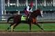LOUISVILLE, KY - MAY 01: California Chrome runs on the track during the morning training for the Kentucky Derby at Churchill Downs on May 1, 2014 in Louisville, Kentucky. (Photo by Andy Lyons/Getty Images)