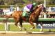 In a photo provided by Benoit Photo, California Chrome and jockey Victor Espinoza win the Santa Anita Derby horse race, Saturday, April 5, 2014, at Santa Anita in Arcadia, Calif. (AP Photo/Benoit Photo)