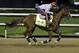 Exercise rider William Delgado takes Kentucky Derby entrant California Chrome for a morning workout during a morning workout at Churchill Downs Friday, May 2, 2014, in Louisville, Ky. (AP Photo/Morry Gash)