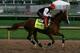 LOUISVILLE, KY - MAY 01: Kentucky Derby contender California Chrome works during early morning workouts at Churchill Downs on May 1, 2014 in Louisville, Kentucky. (Photo by Kevin C. Cox/Getty Images)