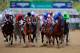The field comes out of the gate to start the 140th running of the Kentucky Oaks at Churchill Downs on May 2, 2014 in Louisville, Kentucky.