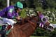 Victor Espinoza rides California Chrome to a victory during the 140th running of the Kentucky Derby horse race at Churchill Downs Saturday, May 3, 2014, in Louisville, Ky. (AP Photo/Garry Jones)