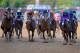 LOUISVILLE, KY - MAY 03: Jockey Victor Espinoza guides California Chrome #5 to the finish line to win the 140th running of the Kentucky Derby at Churchill Downs on May 3, 2014 in Louisville, Kentucky. (Photo by Rob Carr/Getty Images)