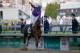 LOUISVILLE, KY - MAY 03: Jockey Victor Espinoza celebrates atop of California Chrome #5 after crossing the finish line to win the 140th running of the Kentucky Derby at Churchill Downs on May 3, 2014 in Louisville, Kentucky. (Photo by Kevin C. Cox/Getty Images)