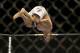 Chad Mendes will be doing backflips if he beats Jose Aldo at UFC 176 for the featherweight title.