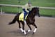 May 1, 2014; Louisville, KY, USA; Exercise rider Simon Paine works out Kentucky Derby hopeful Samraat during morning workouts at Churchill Downs. Mandatory Credit: Jamie Rhodes-USA TODAY Sports