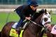 LOUISVILLE, KY - APRIL 29: General A Rod is ridden by Joel Barrientos during the morning exercise session in preparation for the140th Kentucky Derby at Churchill Downs on April 29, 2014 in Louisville, Kentucky. (Photo by Rob Carr/Getty Images)