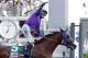 FILE - In this May 3, 2014, file photo, jockey Victor Espinoza celebrates aboard California Chrome after winning the 140th running of the Kentucky Derby horse race at Churchill Downs in Louisville, Ky. The California colt will be running in the Preakness with a bulls-eye on his back as perhaps racing's next superstar. He figures to face eight or nine rivals in the middle leg of the Triple Crown series, and one of them might be a filly. (AP Photo/Morry Gash, File)