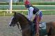 Kentucky Derby winner California Chrome jogged the wrong way around the track with exercise rider Willy Delgado aboard for the first time since his big win at Churchill Downs in Louisville, Ky., Wednesday morning, May 7, 2014. (AP Photo/Garry Jones)