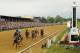 May 18, 2013; Baltimore, MA, USA; Gary Stevens aboard Oxbow (6) leads the pack heading into the first turn during the 138th running of the Preakness Stakes at Pimlico race course. Mandatory Credit: Mitch Stringer-USA TODAY Sports