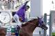 FILE - In this May 3, 2014, file photo, jockey Victor Espinoza celebrates aboard California Chrome after winning the 140th running of the Kentucky Derby horse race at Churchill Downs in Louisville, Ky. The California colt will be running in the Preakness with a bulls-eye on his back as perhaps racing's next superstar. He figures to face eight or nine rivals in the middle leg of the Triple Crown series, and one of them might be a filly. (AP Photo/Morry Gash, File)