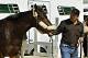 Preakness Stakes hopeful Ride On Curlin, led by trainer Billy Gowan, arrives at Pimlico Race Course in Baltimore, Md., Monday, May 12, 2014. (AP Photo/Garry Jones)