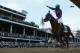 California Chrome is the heavy favorite to earn the Black-Eyed Susans.