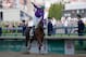 California Chrome is far and away the favorite to win at Pimlico.
