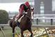 Exercise rider Willie Delgado gallops Kentucky Derby winner California Chrome at Pimlico Race Course in Baltimore, Md., Wednesday, May 14, 2014. The Preakness Stakes horse race is scheduled for May 17 at Pimlico. (AP Photo/Garry Jones)