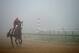 BALTIMORE, MD - MAY 15: Exercise rider Willie Delgado takes Kentucky Derby winner California Chrome over the track in preparation for the 139th Preakness Stakes at Pimlico Race Course on May 15, 2014 in Baltimore, Maryland. (Photo by Patrick Smith/Getty Images)